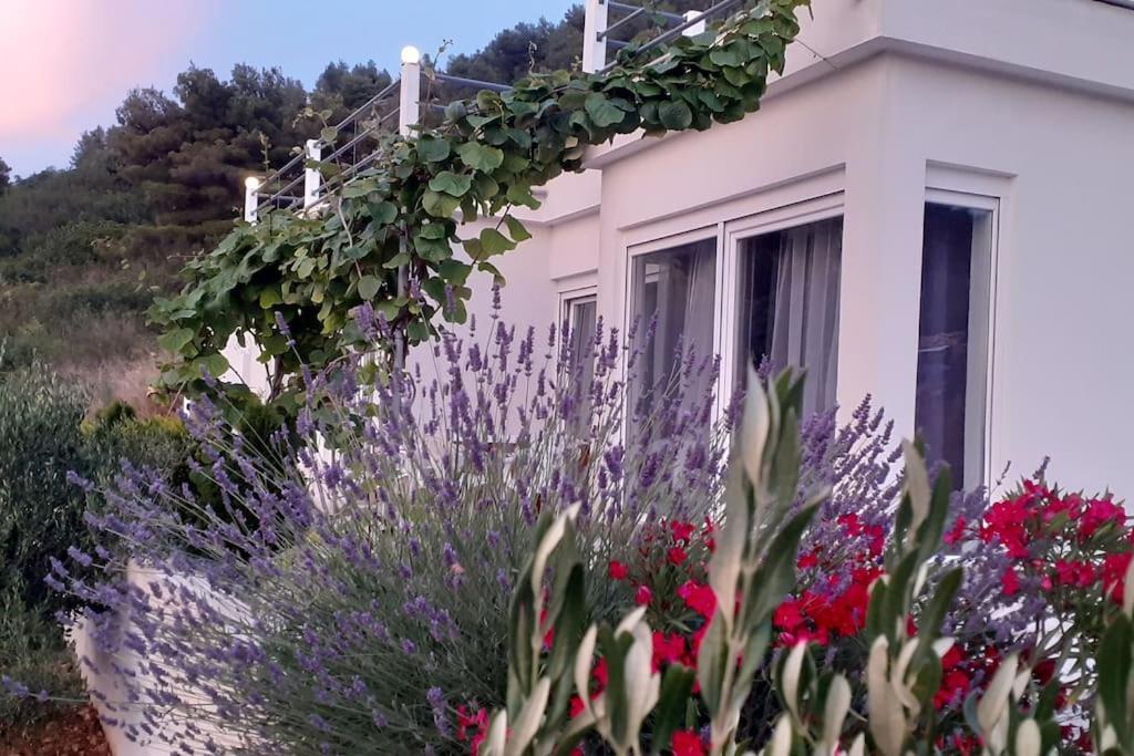 Vis - Luxury Holiday Villa With Swimming Pool Exterior foto